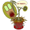 DURST