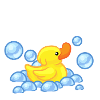 Mon canard adoré