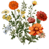 Blume Blumenstraus Garten Geschenkidee