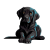 Chiot Labrador