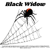 Black Widow I Schwarze Witwe