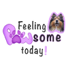 Føler PAWSOME i dag! Hund Sheltie Paw Pink