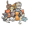Lieblingstier Katze Haustiere Statement Tiere