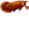 Fish Statement Pets Pet Animals
