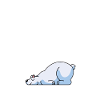 Eisbär Eisbären