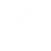 Eisbär Eisbären