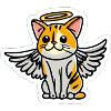 Katze