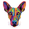 Malinois Belgian Shepherd