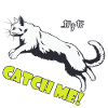 try to catch me