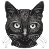Chat noir Chat élégant