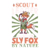 Fox - Boy Scout Teacher