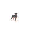 Rottweiler Gifts