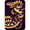 skate worm design #163