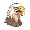 Eagle Cartoon Kawaii Aquarelle Illustration