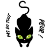 Mister Cat n'a jamais peur!