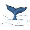 Walflosse Fluke
