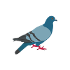 Pigeon Pigeon Lover Cadeau