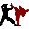 Kumite Karate