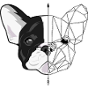 MINIMALIST BULLDOG