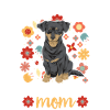 Chiweenie Dog