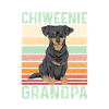 Chiweenie Dog