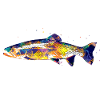 Fisch bunt