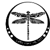 Learn from the Past Firefly