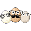 Eggs,Egg,Egg Family, Family, Glasses