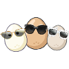 Eggs,Egg,Egg Family,Family,Sunglasses