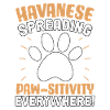 Havanese Spreading Paw-sitivity everywhere!