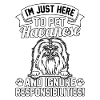 Havanese Funny Saying