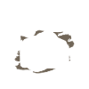 Je photographie des gens