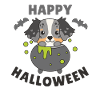 Australian Shepherd Happy Halloween Cauldron