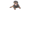 Rottweiler Gifts