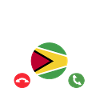 Guyana Flag Guyanese Guyana