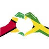 Guyana Flag Guyanese Guyana