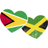 Guyana Flag Guyanese Guyana
