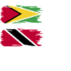 Guyana Flag Guyanese Guyana