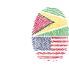 Guyana Flag Guyanese Guyana