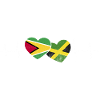 Guyana Flag Guyanais Guyanais