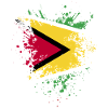 Guyana Flag Guyanese Guyana