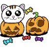 CHAT KAWAII