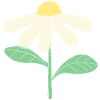 Weißes Blümchen