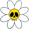 Crâne de fleur