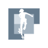 Skateboard Skateboarder Halfpipe Skating