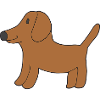 dachshund
