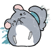 Chinchilla Mignon Pet
