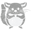 Chinchilla Cute Pet