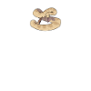 Conseils de Rattlesnake Snakes Gift