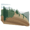 Pinienwald Hügellandschaft mit Struktur (modific.)